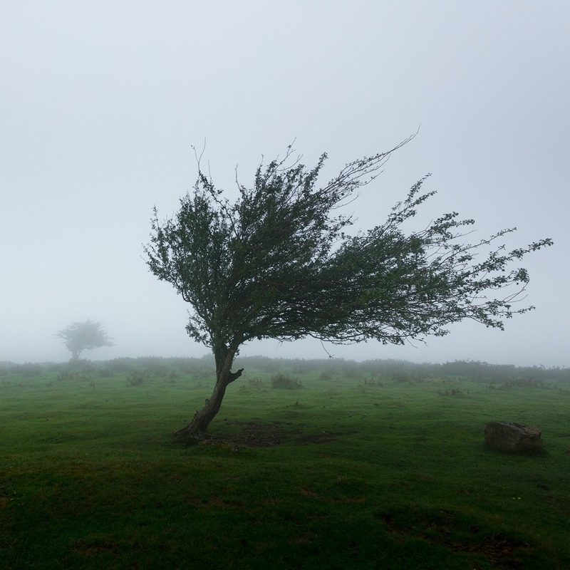 Windy Landscape Noteflight Community