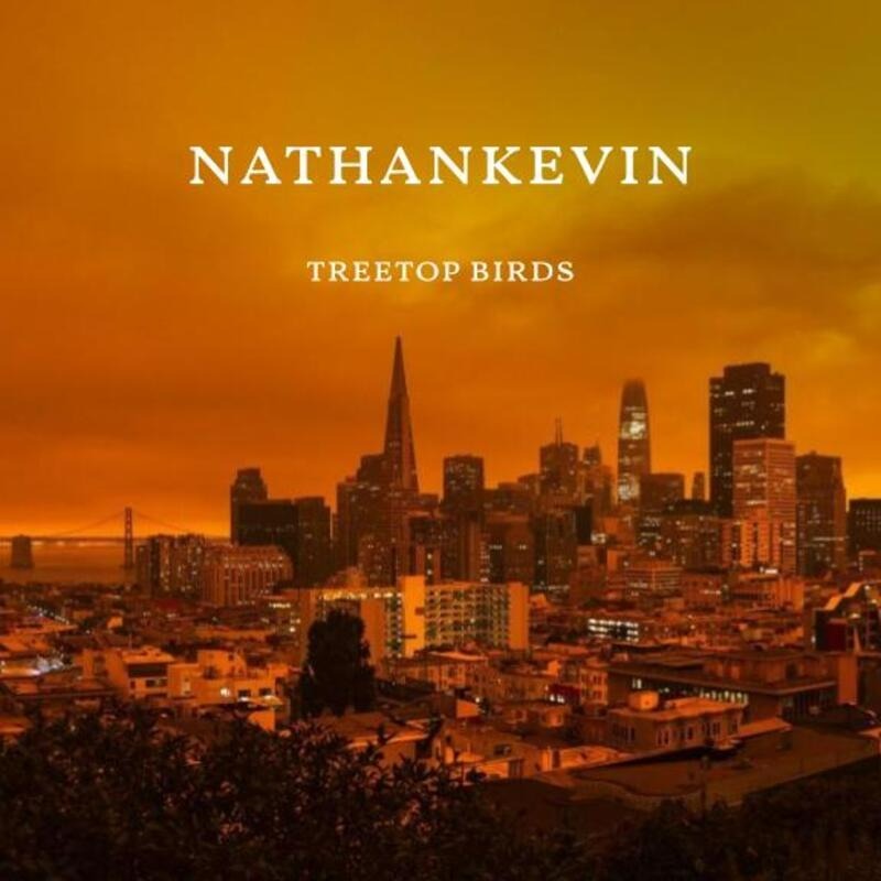 Treetop Birds Free Sheet Music By NathanKevin For Small Ensemble Treetop birds free sheet music by nathankevin for small ensemble